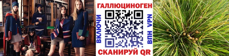 Псилоцибиновые грибы MAGIC MUSHROOMS  KRAKEN вход  Ленинск-Кузнецкий 
