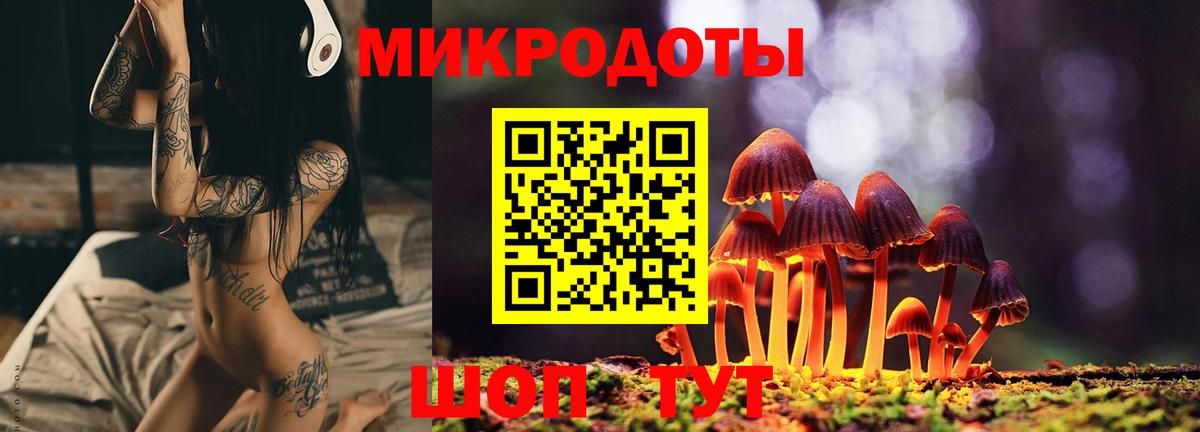 Ленинск-Кузнецкий  Галлюциногенные грибы мухоморы  Вход с VPN 